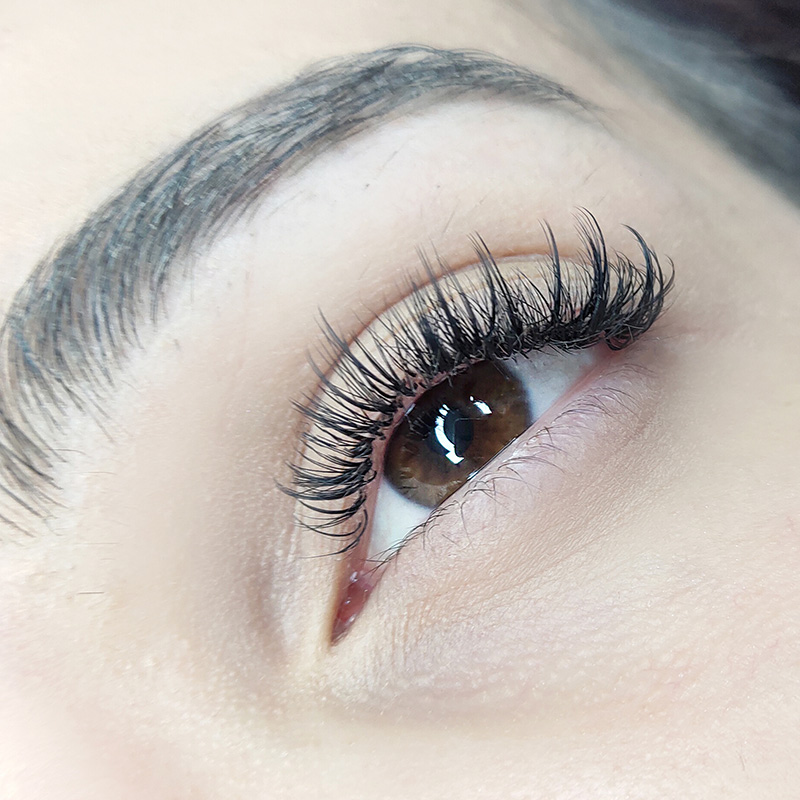 Hybrid Lash Enhancement Course